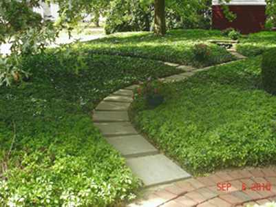 A view of a home walkway