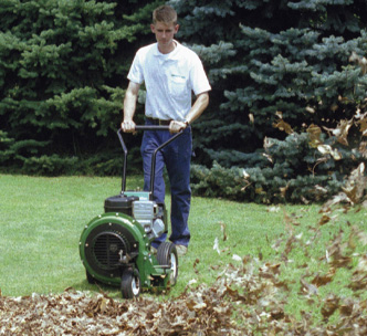 Walk Behind Leaf Blower for Sale