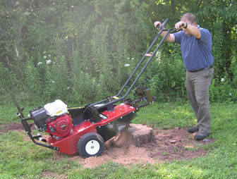 Merry Commercial CPSC Stump Cutter in action