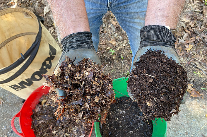 a man holding two different stages of leaf mulch, in the left hand is fresh leaf mulch, in the right hand is broken down leaf mulch